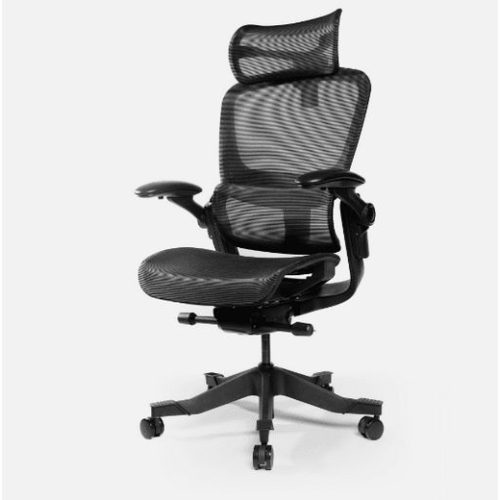 Ghế công thái học Epione Easy Chair (Màu Đen)