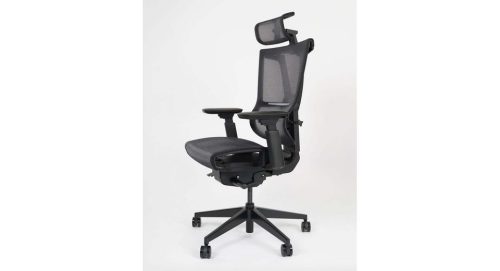 Ghế công thái học Epione Easy Chair Pro (Màu Đen)