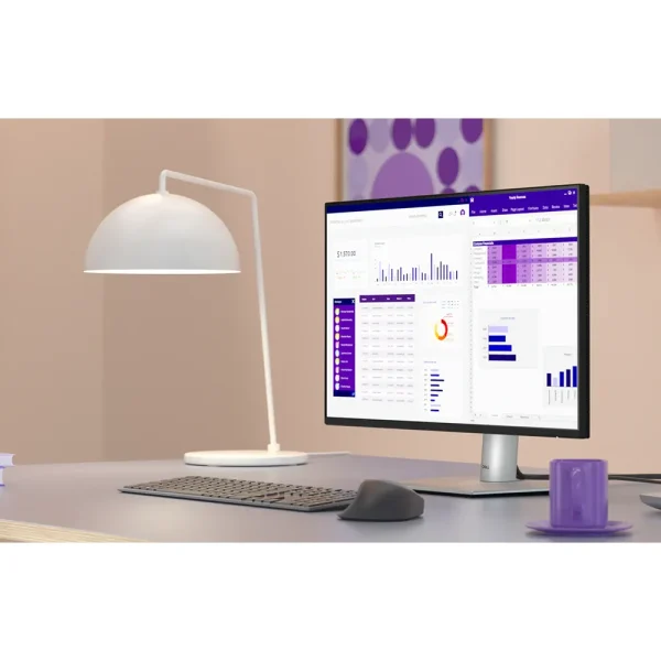 Màn hình Dell P2425H 23.8 inch IPS 100Hz USB-C