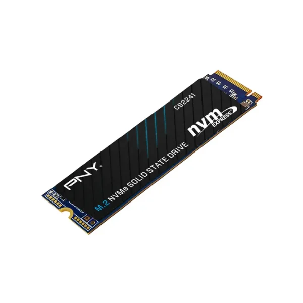 Ổ cứng SSD PNY CS2241 500GB NVMe M.2 2280 PCIe Gen 4×4